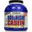 Weider Day & Night Casein Protein Vanilla 1.8kg