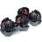 Bowflex SelectTech Dumbbells 2x24kg