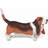 Papo Basset Hound 54012