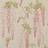 Colefax and Fowler Seraphina - Pink (07157-01)