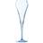 Chef & Sommelier Open Up Champagne Glass 20cl 2pcs