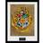 GB Eye Harry Potter Hogwarts Tavla 30x40cm
