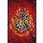 GB Eye Harry Potter Hogwarts Flag Maxi Poster 61x91.5cm