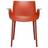 Kartell Piuma Kitchen Chair 77cm