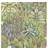 Cole & Son Singita Wallpaper Ardmore Collection Roll Green 109/7034