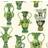 Cole & Son Khulu Vases (109/12056)