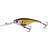 Westin BabyBite DR 6.5cm Official Roach