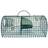 Ryom Rat Trap Thread Tissue Family