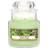 Yankee Candle Wild Mint Small Doftljus 104g