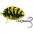 Salmo Lil' Bug 3cm Wasp