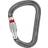 Petzl William Screw Lock