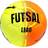 Select FB Futsal Leao