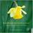 Easter flower what would you here: anthology of songs and hymns (Hardcover, 2013)