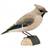 Wildlife Garden Deco Bird Sidensvans Dekorationsfigur