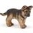 Papo Schäferhund Junges 54039