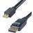 Connekt Gear DisplayPort - DisplayPort Mini 2m