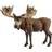 Schleich Moose Bull 14781