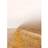 Vissevasse Misty Morning 02 Plakat 50x70cm