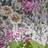 Designers Guild Majolica Slate (PDG1028-02)
