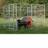 Hortus Dog Farm with Gate