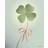 Vissevasse Good Luck Poster 30x40cm