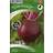 Nelson Garden Beetroot Round Moulin Rouge 225 pack