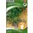 Nelson Garden Coriander 69 pack Krydderurtefrø