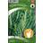 Nelson Garden Rosemary 100 pack