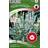 Nelson Garden Lavender Ellagance Ice 20 pack