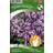 Nelson Garden Timjan 500 pack