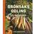 Grönsaksodling: Enkelt, ekologiskt & gott (E-bok, 2017)
