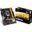 Biostar H110MHC