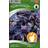 Nelson Garden Basil Red Round Midnight 120 pack