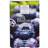 New Nordic Blueberries Pill 30 st