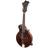 Eastman MD315