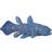 Safari Coelacanth 285729