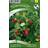 Nelson Garden Jordbær Rügen 495 pack Frugt- & Bærfrø