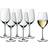 WMF Easy Plus Vitvinsglas 39cl 6st