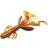 Lunker City Ozmo 12.5cm Peanut Butter Pumpkinseed 7-pack