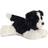 Aurora Cami Border Collie