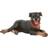 Bullyland Rottweiler Fiona 65447