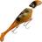 Headbanger Headbanger Shad Sinking 22cm Rusty Perch