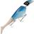 Headbanger Headbanger Shad Sinking 22cm Blue Pearl