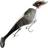 Headbanger Headbanger Shad Sinking 22cm Black Metal