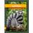 Lemur, Hardback (Indbundet, 2017)