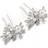 Avalaya Crystal Glass Pearl Floral Hair Pins 2-pack