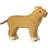 Goki Lioness 80140