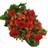 Flowerhouse.se My Everything