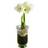 Flowerhouse.se Winter Night White