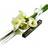 Flowerhouse.se Advance Greeting with Chocolate
